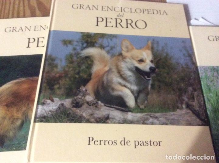 Libros de segunda mano: Gran enciclopedia del perro - Perros de pastor - N&ordm; 1. 2 y 3 - Foto 3