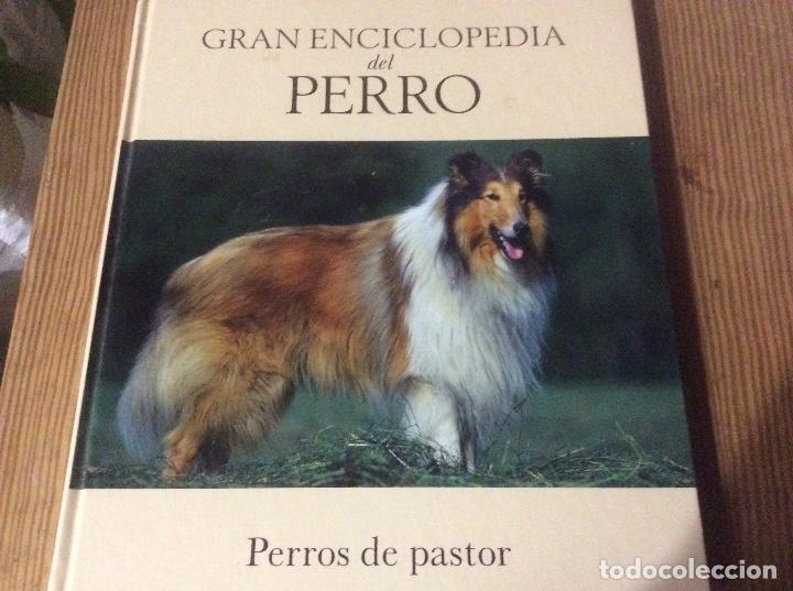 Libros de segunda mano: Gran enciclopedia del perro - Perros de pastor - N&ordm; 1. 2 y 3 - Foto 4