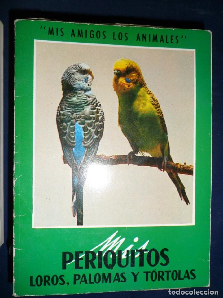 Libros de segunda mano: MIS PERIQUITOS, LOROS, PALOMAS Y T&Oacute;RTOLAS. MIS AMIGOS LOS ANIMALES - Foto 1