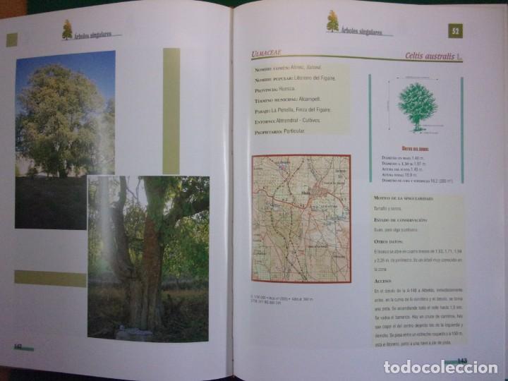 Libros de segunda mano: &Aacute;RBOLES DE ARAG&Oacute;N / 1997. Prames - Foto 2