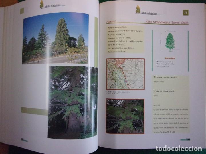 Libros de segunda mano: &Aacute;RBOLES DE ARAG&Oacute;N / 1997. Prames - Foto 4