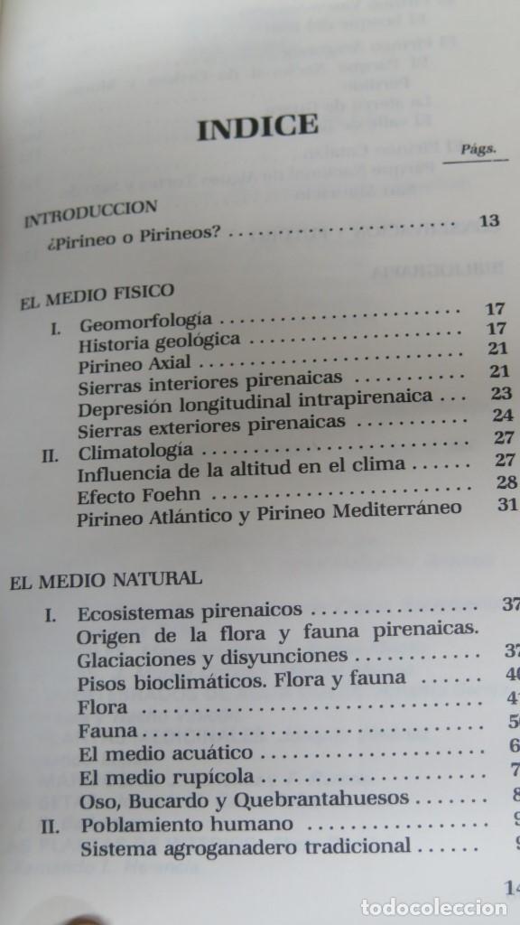 Libros de segunda mano: LOS PIRINEOS. RAMON ANTOR CASTELLARNAU - Foto 2