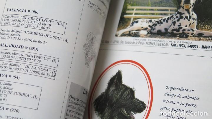 Libros de segunda mano: GU&Iacute;A DE CRIADORES DE RAZAS CANINAS. 1997 - Foto 2