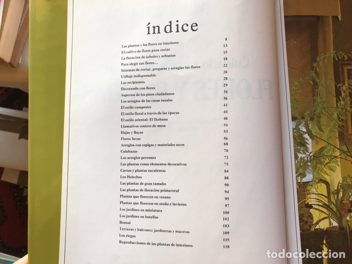Libros de segunda mano: Cuidado y conservaci&oacute;n de flores y plantas. Vidorama - Foto 4
