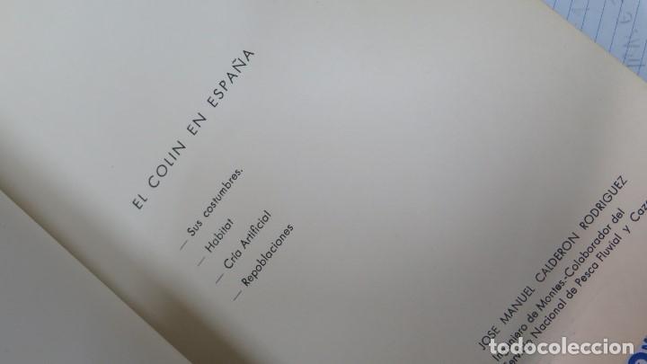 Libros de segunda mano: EL COLIN EN ESPA&Ntilde;A - Foto 2