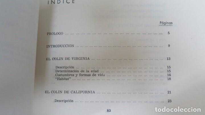 Libros de segunda mano: EL COLIN EN ESPA&Ntilde;A - Foto 3