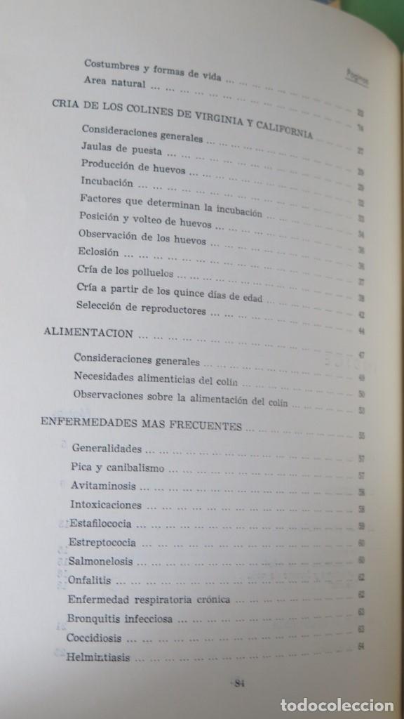 Libros de segunda mano: EL COLIN EN ESPA&Ntilde;A - Foto 4