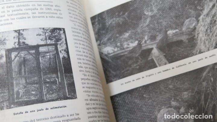 Libros de segunda mano: EL COLIN EN ESPA&Ntilde;A - Foto 6