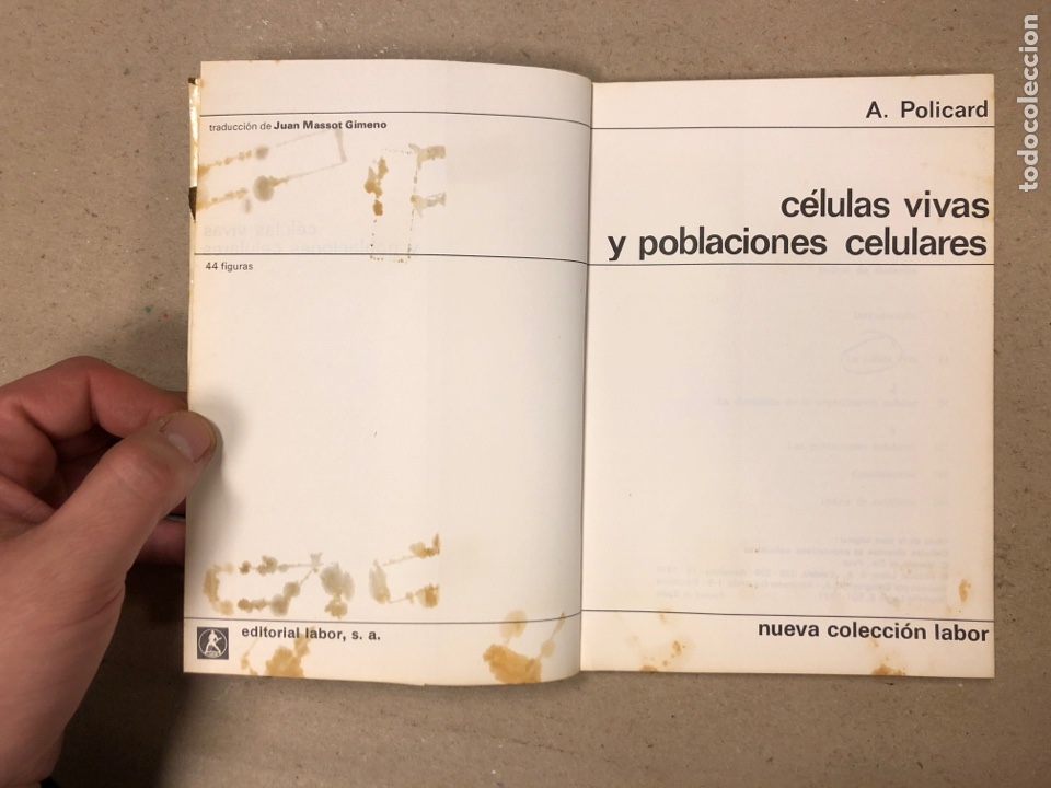 Libros de segunda mano: C&Eacute;LULAS VIVAS Y POBLACIONES CELULARES. A. POLICARD. EDITORIAL LABOR 1970. - Foto 2