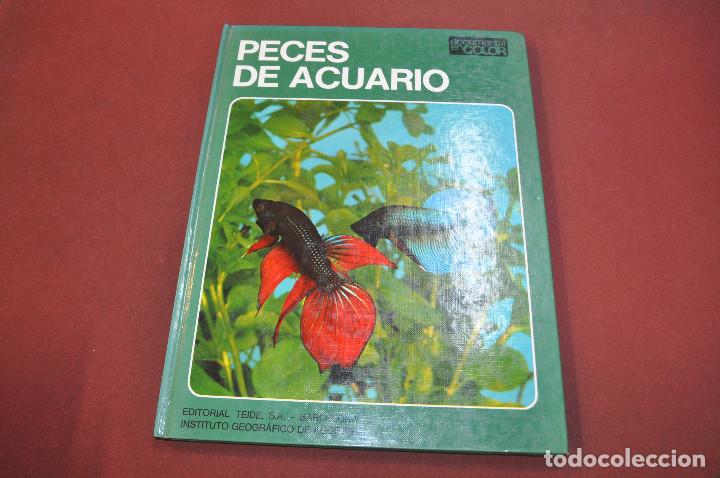 Libros de segunda mano: Peces de acuario - editorial teide - DOCUMENTAL EN COLOR - Foto 1
