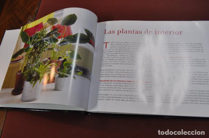 Libros de segunda mano: conocer nuestras plantas - FFB - Foto 2