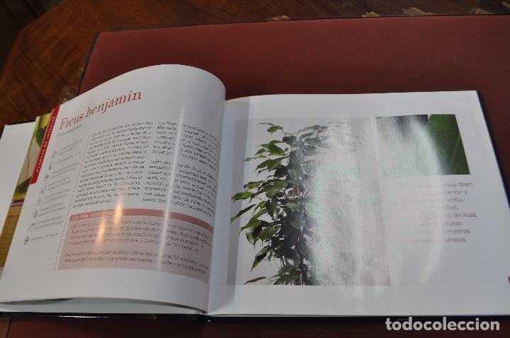 Libros de segunda mano: conocer nuestras plantas - FFB - Foto 3