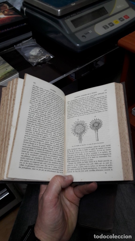 Libros de segunda mano: ELEMENTS DE BOTANIQUE. 2 TOMOS. A-BOT-067 - Foto 3