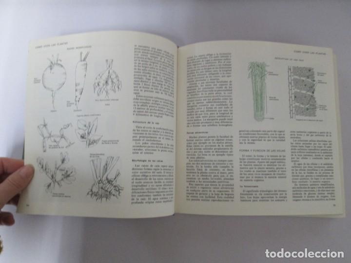 Libros de segunda mano: EL LIBRO DEL JARDIN Y DE LA TERRAZA. SELECCIONES DEL READER&acute;S DIGEST 1970 - Foto 12
