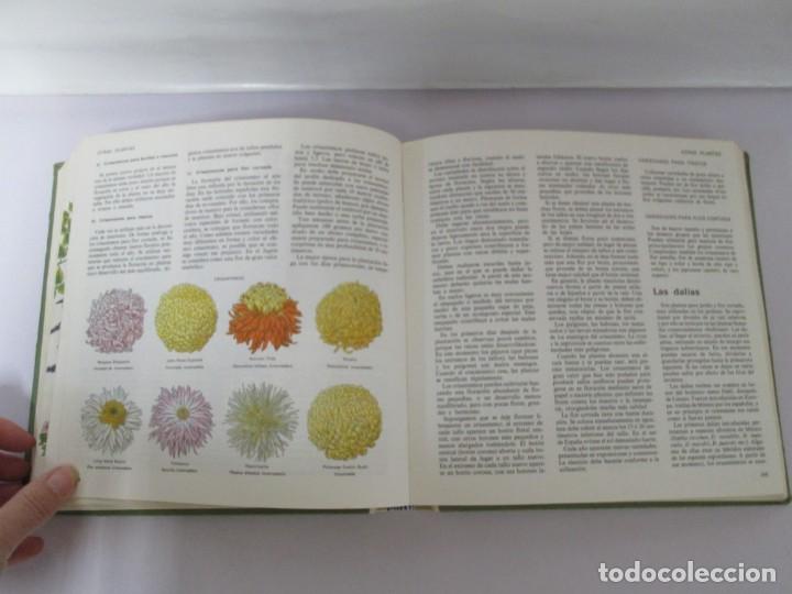 Libros de segunda mano: EL LIBRO DEL JARDIN Y DE LA TERRAZA. SELECCIONES DEL READER&acute;S DIGEST 1970 - Foto 15