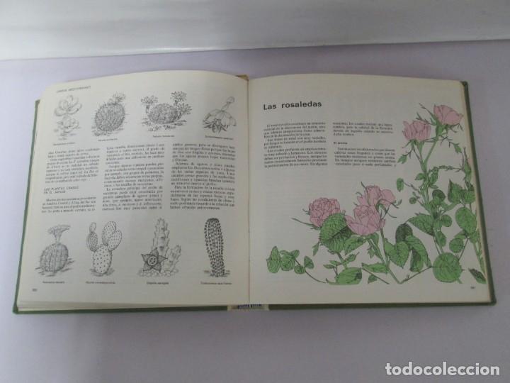 Libros de segunda mano: EL LIBRO DEL JARDIN Y DE LA TERRAZA. SELECCIONES DEL READER&acute;S DIGEST 1970 - Foto 17
