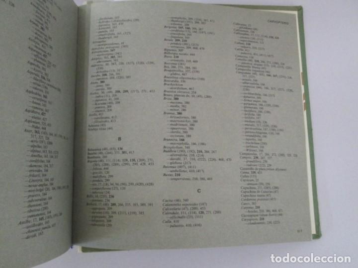 Libros de segunda mano: EL LIBRO DEL JARDIN Y DE LA TERRAZA. SELECCIONES DEL READER&acute;S DIGEST 1970 - Foto 19