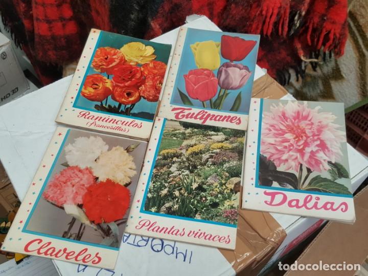 Libros de segunda mano: RAN&Uacute;NCULOS. DALIAS. TULIPANES. CLAVELES. . EDITORIAL kANDA. - Foto 1