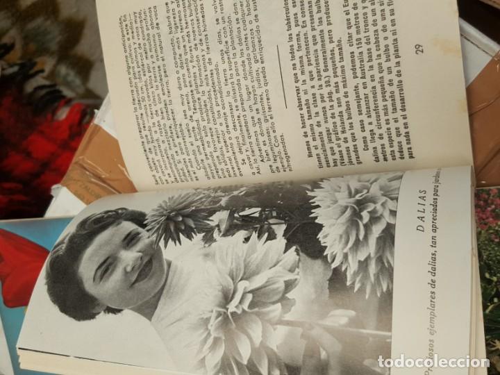 Libros de segunda mano: RAN&Uacute;NCULOS. DALIAS. TULIPANES. CLAVELES. . EDITORIAL kANDA. - Foto 3
