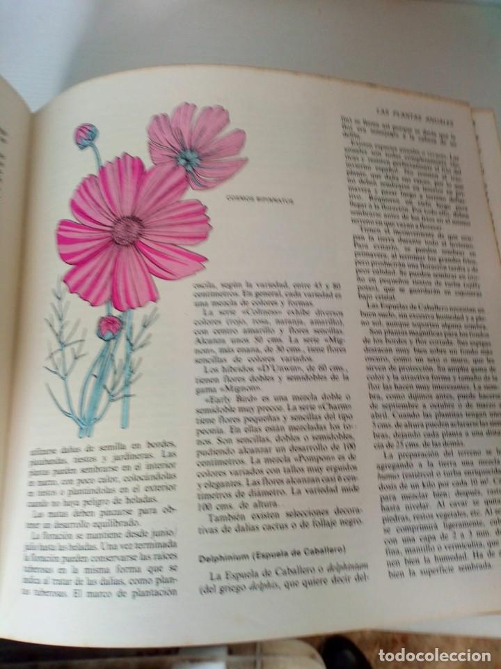 Libros de segunda mano: EL LIBRO DEL JARDIN Y DE LA TERRAZA. 1970. EDICIONES READER&acute;S DIGEST. - Foto 4