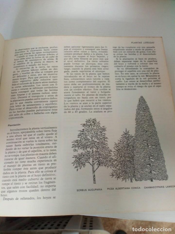 Libros de segunda mano: EL LIBRO DEL JARDIN Y DE LA TERRAZA. 1970. EDICIONES READER&acute;S DIGEST. - Foto 5