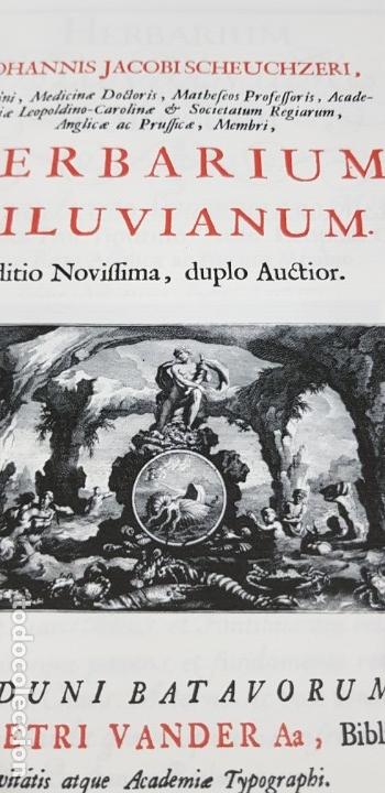 Libros de segunda mano: Herbarium diluvianum collectum (Bot&aacute;nica).Scheuchzero, Johanne Jacobo. - Foto 14