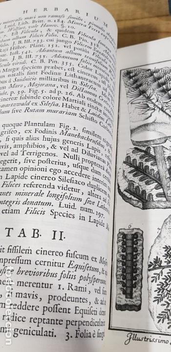 Libros de segunda mano: Herbarium diluvianum collectum (Bot&aacute;nica).Scheuchzero, Johanne Jacobo. - Foto 20