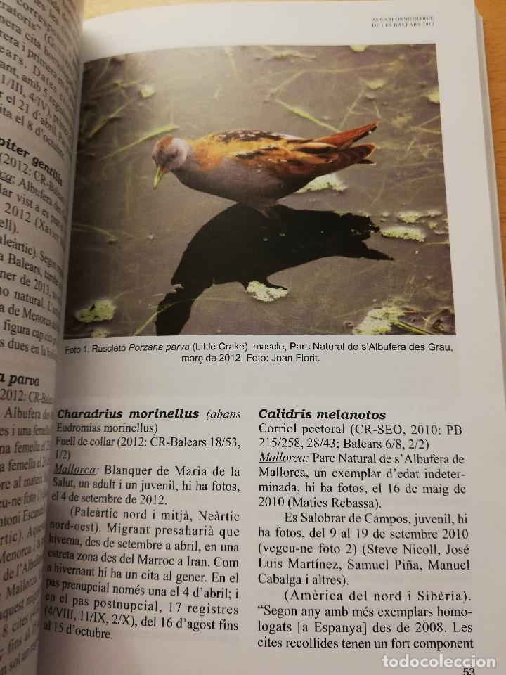 Libros de segunda mano: ANUARI ORNITOL&Ograve;GIC DE LES BALEARS. 2012, VOLUM 27 - Foto 2
