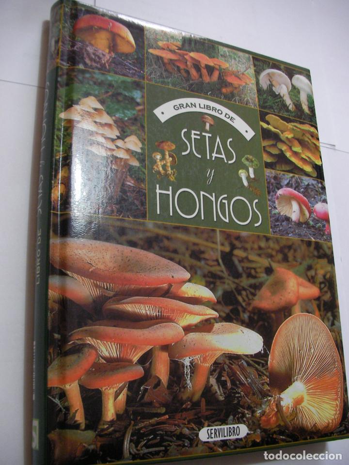 Libros de segunda mano: GRAN LIBRO DE SETAS Y HONGOS (EM3) - Foto 1