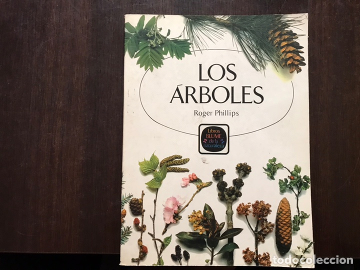 Libros de segunda mano: Los &aacute;rboles. Roger Phillips. Muy dif&iacute;cil - Foto 1