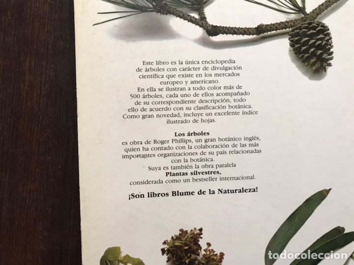 Libros de segunda mano: Los &aacute;rboles. Roger Phillips. Muy dif&iacute;cil - Foto 2