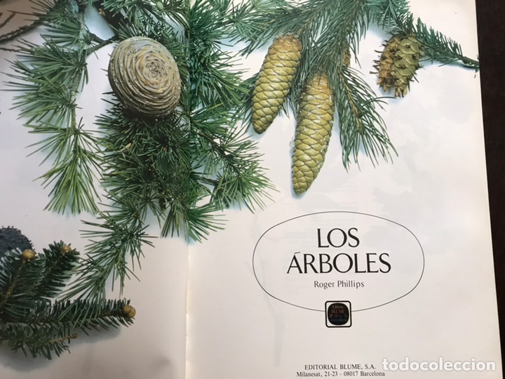 Libros de segunda mano: Los &aacute;rboles. Roger Phillips. Muy dif&iacute;cil - Foto 3