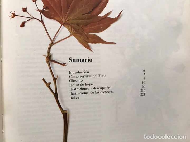 Libros de segunda mano: Los &aacute;rboles. Roger Phillips. Muy dif&iacute;cil - Foto 5