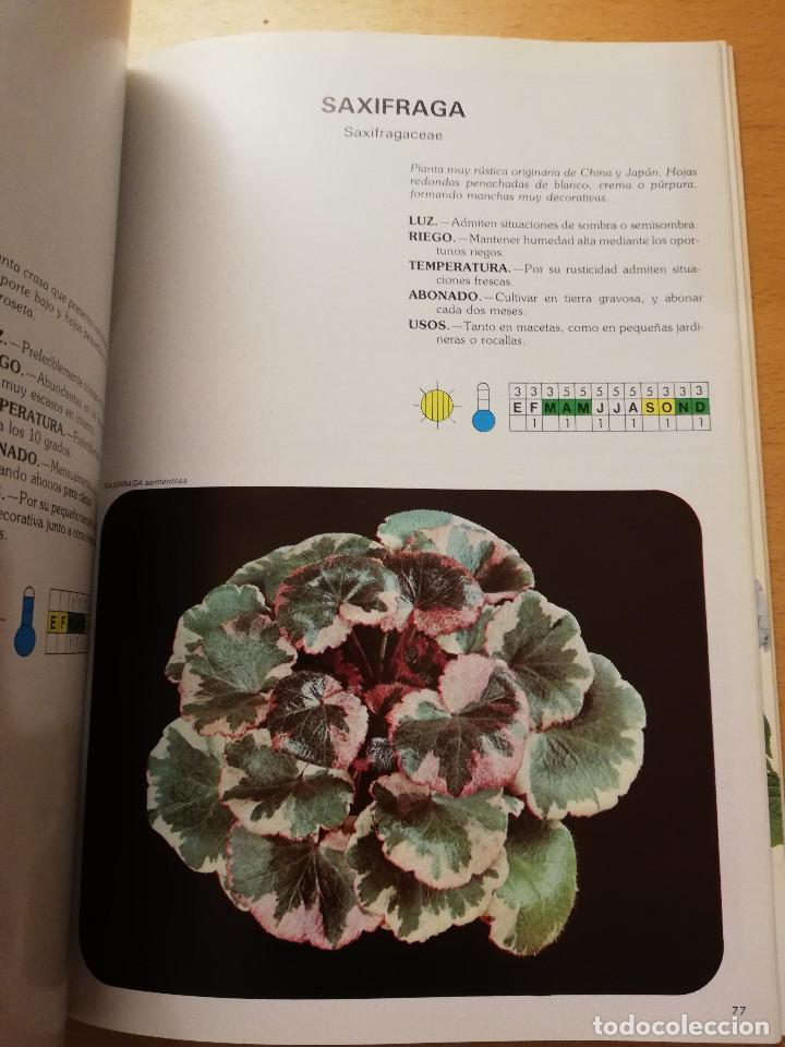 Libros de segunda mano: GU&Iacute;A INTERFLORA DE PLANTAS Y FLORES - Foto 3