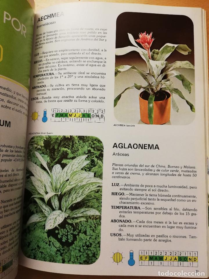 Libros de segunda mano: GU&Iacute;A INTERFLORA DE PLANTAS Y FLORES - Foto 4