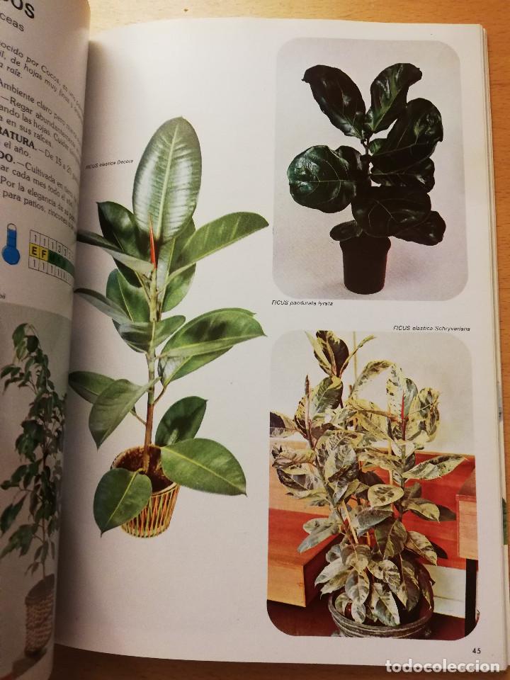Libros de segunda mano: GU&Iacute;A INTERFLORA DE PLANTAS Y FLORES - Foto 5