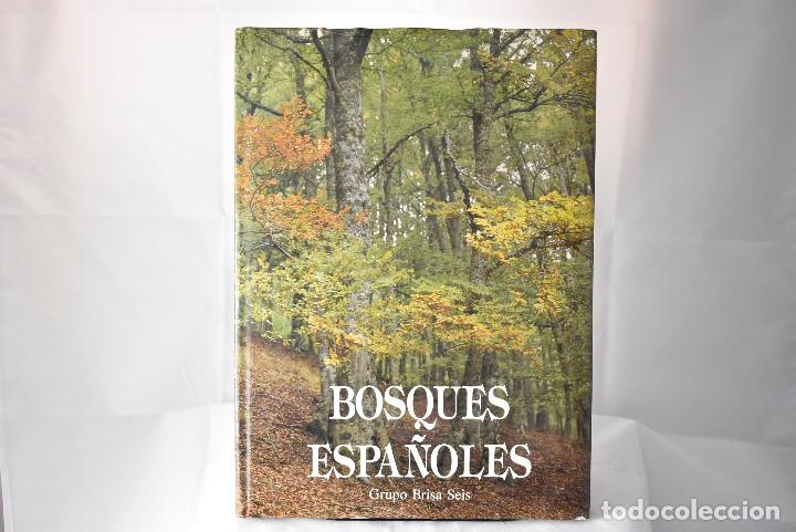 Libros de segunda mano: BOSQUES ESPA&Ntilde;OLES - Foto 1