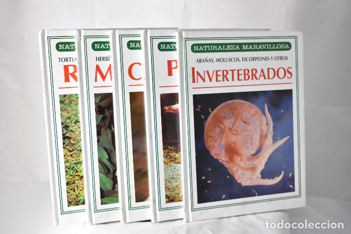 Libros de segunda mano: NATURALEZA MARAVILLOSA, 5 TOMOS - Foto 1