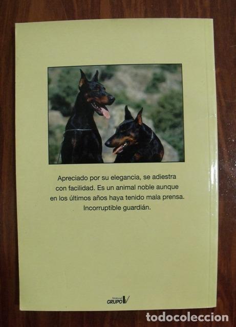 Libros de segunda mano: Libro El Dobermann - Practico de las Razas Caninas - Eduardo Benito Ruiz - D&oacute;berman - Foto 2