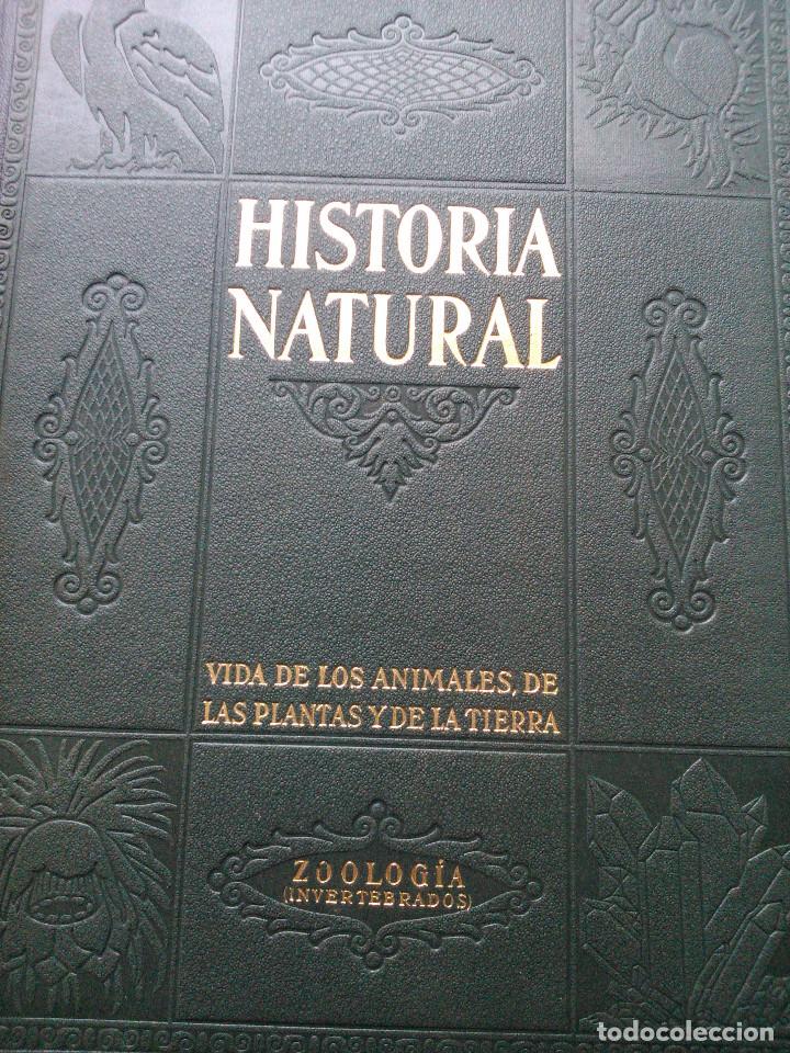 Libros de segunda mano: Historia Natural - Foto 4