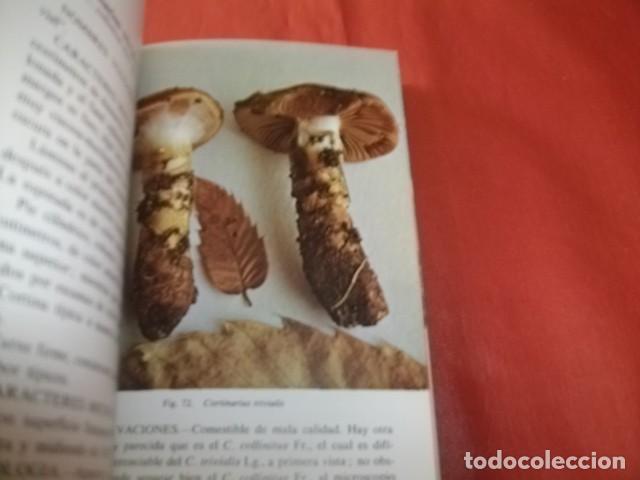Libros de segunda mano: HONGOS DE NUESTROS CAMPOS Y BOSQUES - FRANCISCO DE DIEGO CALONGE - Foto 2