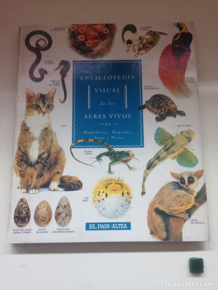 Libros de segunda mano: Enciclopedia Visual de los seres vivos - Foto 1