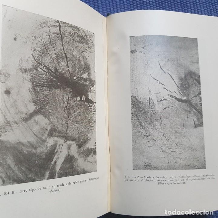 Libros de segunda mano: La madera. Su explotaci&oacute;n, secamiento, propiedades y utilizaci&oacute;n - Foto 2