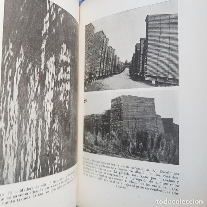 Libros de segunda mano: La madera. Su explotaci&oacute;n, secamiento, propiedades y utilizaci&oacute;n - Foto 3