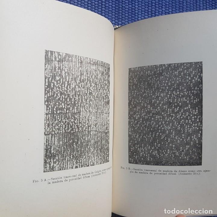 Libros de segunda mano: La madera. Su explotaci&oacute;n, secamiento, propiedades y utilizaci&oacute;n - Foto 8