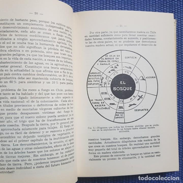 Libros de segunda mano: La madera. Su explotaci&oacute;n, secamiento, propiedades y utilizaci&oacute;n - Foto 10