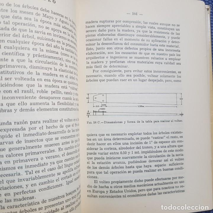 Libros de segunda mano: La madera. Su explotaci&oacute;n, secamiento, propiedades y utilizaci&oacute;n - Foto 13