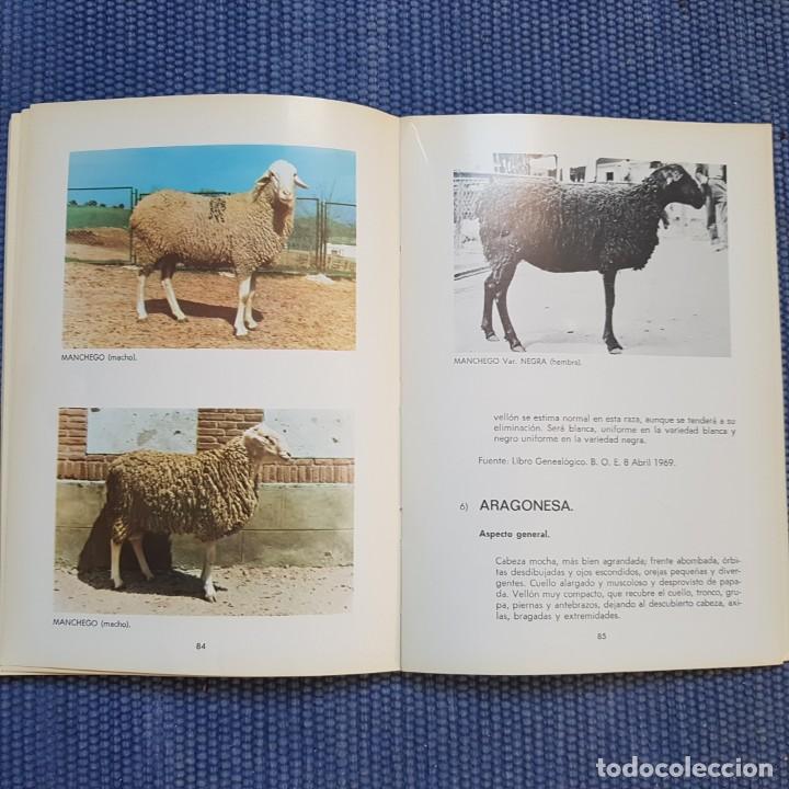Libros de segunda mano: Mapa ganadero nacional. Vacuno y Ovino - Foto 4
