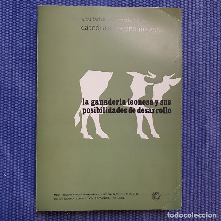 Libri di seconda mano: La Ganader&iacute;a Leonesa y sus posibilidades de desarrollo