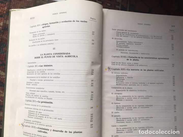Libros de segunda mano: Fitotecnia general. R. Diehl - Foto 6